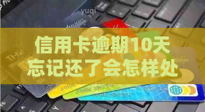 信用卡逾期10天忘记还了会怎样处理：具体后果与应对策略