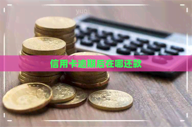 信用卡逾期后在哪还款
