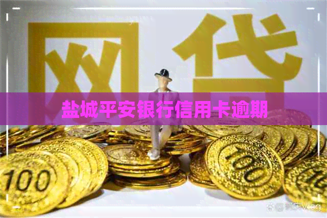 盐城平安银行信用卡逾期