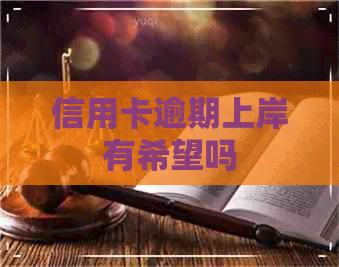 信用卡逾期上岸有希望吗