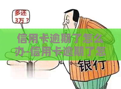 信用卡逾期了怎么办-信用卡逾期了怎么办又没钱还