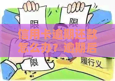 信用卡逾期还款怎么办？逾期后果、解决方案及补救措一应俱全！