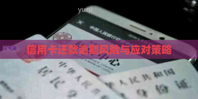 信用卡还款逾期风险与应对策略
