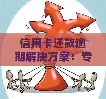 信用卡还款逾期解决方案：专业协议书模板详细指南