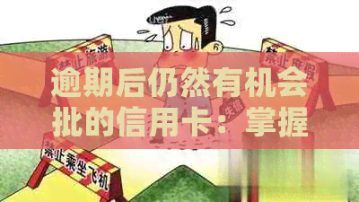 逾期后仍然有机会批的信用卡：掌握关键策略，提高申请成功率