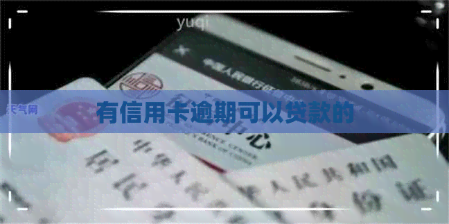 有信用卡逾期可以贷款的
