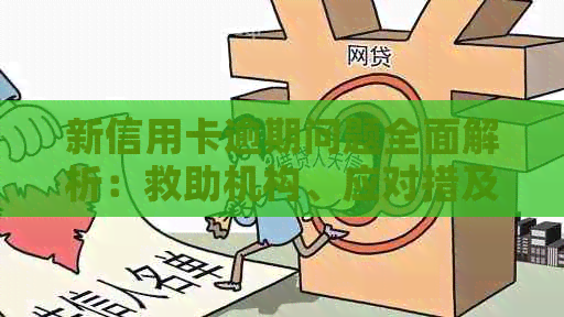 新信用卡逾期问题全面解析：救助机构、应对措及解决方法一应俱全！