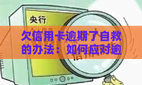 欠信用卡逾期了自救的办法：如何应对逾期、协商解决与政策优？