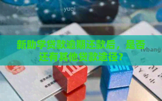 新助学贷款逾期还款后，是否还有其他贷款途径？