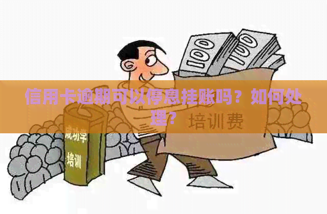信用卡逾期可以停息挂账吗？如何处理？