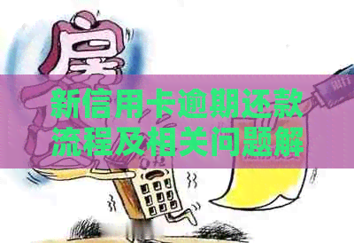 新信用卡逾期还款流程及相关问题解答
