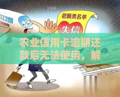农业信用卡逾期还款后无法使用，解决方案一览及应对策略