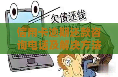 信用卡逾期还款咨询电话及解决方法