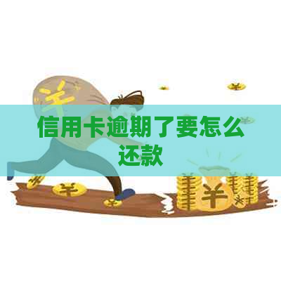 信用卡逾期了要怎么还款