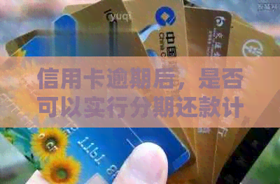 信用卡逾期后，是否可以实行分期还款计划？