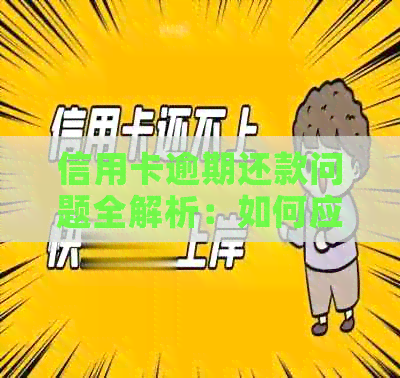 信用卡逾期还款问题全解析：如何应对、解决方法和预防措