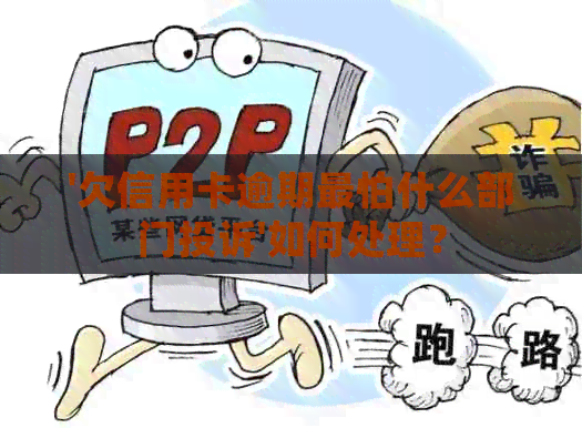 '欠信用卡逾期最怕什么部门投诉'如何处理？