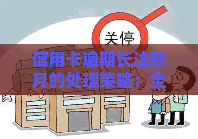 信用卡逾期长达数月的处理策略：全面解决方案和实用建议