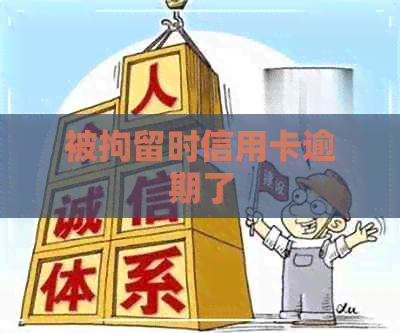 被拘留时信用卡逾期了