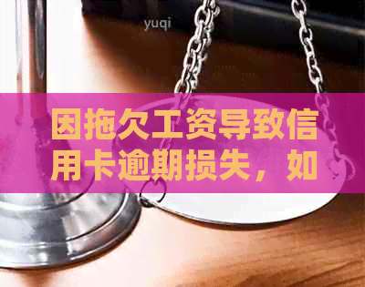 因拖欠工资导致信用卡逾期损失，如何获得赔偿？