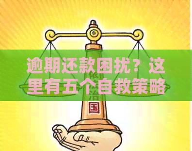 逾期还款困扰？这里有五个自救策略！