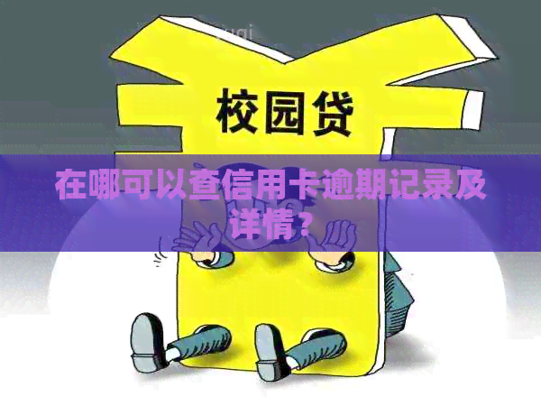在哪可以查信用卡逾期记录及详情？