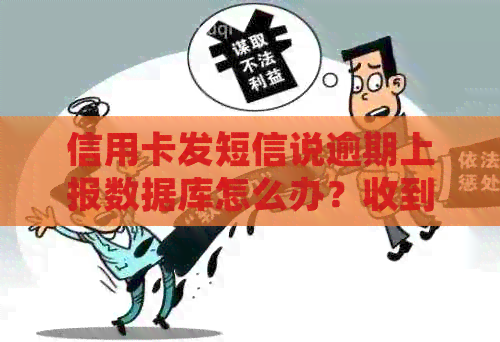信用卡发短信说逾期上报数据库怎么办？收到严重逾期通知的应对措！