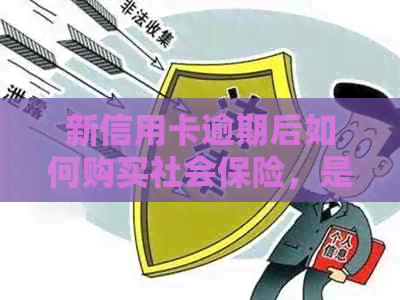 新信用卡逾期后如何购买社会保险，是否会影响信用？