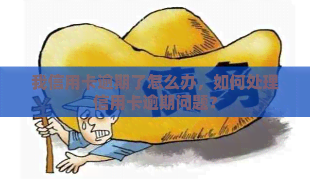 我信用卡逾期了怎么办，如何处理信用卡逾期问题？