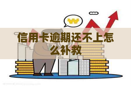 信用卡逾期还不上怎么补救