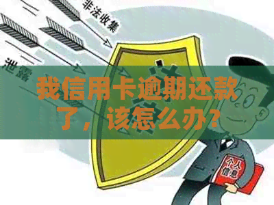 我信用卡逾期还款了，该怎么办？