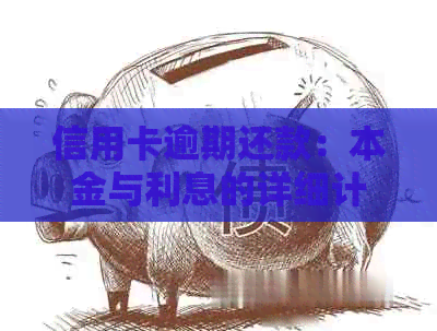 信用卡逾期还款：本金与利息的详细计算方法及误区解析