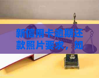 新信用卡逾期还款照片要求，如何应对？