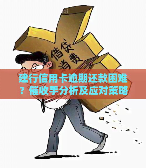 建行信用卡逾期还款困难？手分析及应对策略