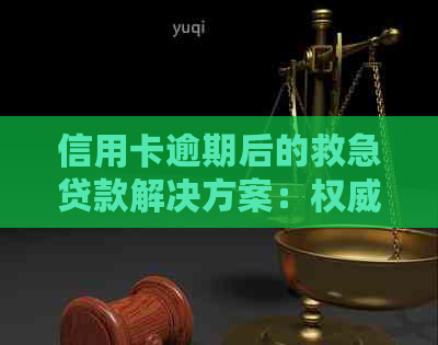 信用卡逾期后的救急贷款解决方案：权威指南与实用技巧