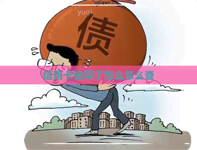 信用卡逾期了怎么怎么查