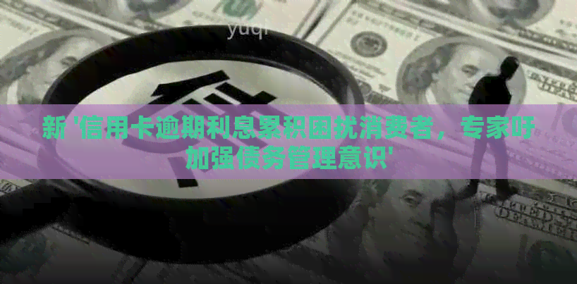 新 '信用卡逾期利息累积困扰消费者，专家吁加强债务管理意识'