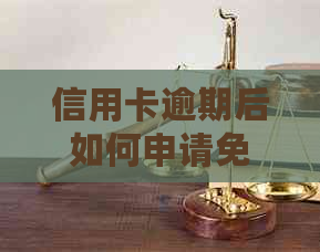 信用卡逾期后如何申请免息还款？一次性还清完整指南，解决您的所有疑虑