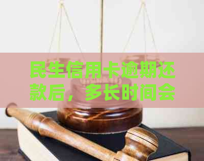 民生信用卡逾期还款后，多长时间会停止卡片使用？