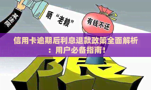 信用卡逾期后利息退款政策全面解析：用户必备指南！