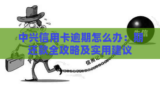 中兴信用卡逾期怎么办：期还款全攻略及实用建议