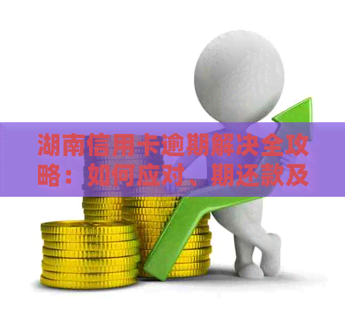 湖南信用卡逾期解决全攻略：如何应对、期还款及后果处理最快速