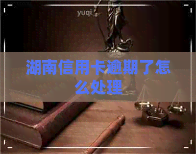 湖南信用卡逾期了怎么处理