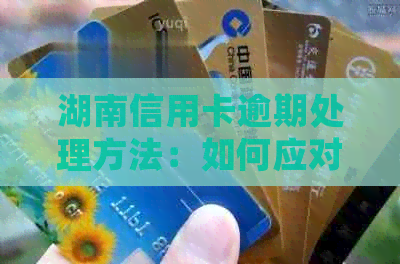 湖南信用卡逾期处理方法：如何应对信用卡逾期问题？