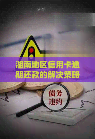 湖南地区信用卡逾期还款的解决策略：有效处理方式与实用技巧