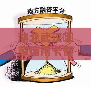 湖北武汉哪家信用卡公司更大？