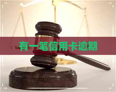 有一笔信用卡逾期