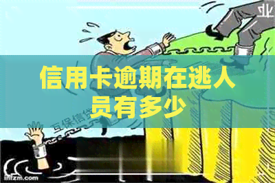 信用卡逾期在逃人员有多少