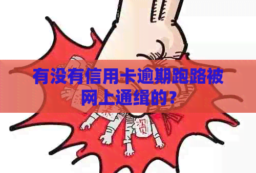 有没有信用卡逾期跑路被网上通缉的？