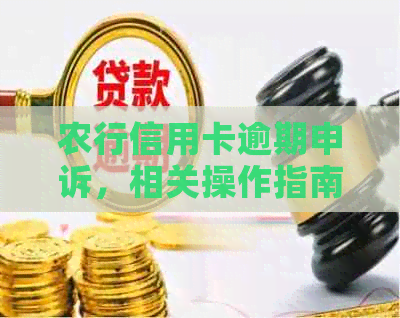 农行信用卡逾期申诉，相关操作指南和注意事项一览